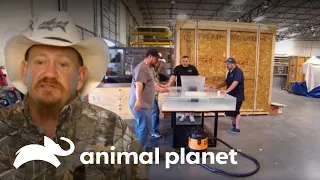 Controle de qualidade biológica e lições de etiqueta | Com água até o pescoço | Animal Planet Brasil