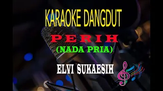 karaoke perih nada pria elvi sukaesih karaoke dangdut tanpa vocal 
