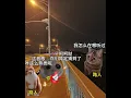 Download Lagu 当你闲来无事:唱《 Cry for me》时#猫meme小剧场 #cryforme
