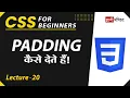CSS Padding Lecture 20 CSS for Beginners