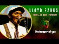Lagu LLoyd Parks - The  Wonder of you ( Melô de nana)