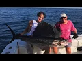 EPIC Sailfish Madness
