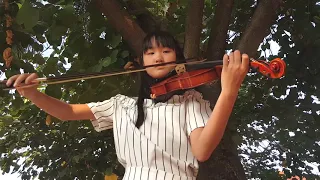 Alan X Walkers Unity Violin Cover By Evelyn Halim Alanwalker Evelynhalim Unity Violincover 