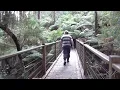 WATERFALLS, PHANTOM FALLS (Victoria, Australia)