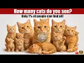 2026 Brain Test Tricky Puzzles Level 1 - 280