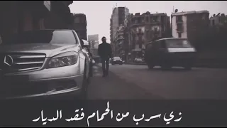              عمرو حسن   باندا دندنها