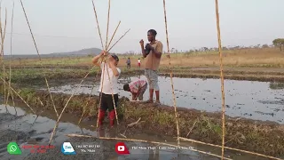 Thế Nhân || Sử Dụng Thiết Bị Đặc Biệt Để Bảo Vệ Những Mầm Mạ Non Trước Sự Tàn Phá Của Đàn Vịt Tặc .