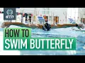 Lagu How To Swim Butterfly | Technique For Butterfly Swimming