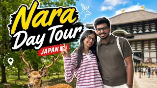 Nara Day Tour Japan🦌Osaka Airbnb Tour😍Ep 9
