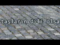 Taşların Dili Olsa (2001- 2017) - Aydın Tiryaki