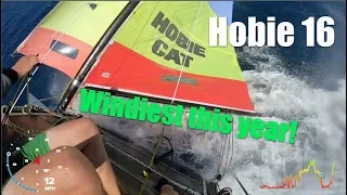 Hobie 16 Onboard thrills and spills   capsize, possibly too much wind