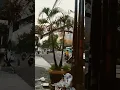 Download Lagu Disini Jadi Saksi Bisu Kenangan Kalian yg pernah Singgah di Jogja
