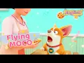 Yummy And Moco Funny Video 😹🤣Flying MOCO🐶  | Es:- 1-95 | Part -1 | #funny #YummyMoco #Moco #tranding