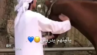 وش هي حياتي دونك دندنها