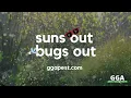 Local Pest Control Waco TX Temple Killeen Cleburne