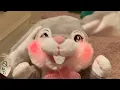Dandee - Animated Easter Bunny Down In The Meadow