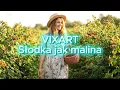 Lagu VIXART - SŁODKA JAK MALINA 🍓 NOWOŚĆ DISCO POLO 2026 HIT PREMIERA