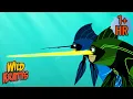 Download Lagu Activate Marlin and Swordfish Powers! | Creature Transformations | Animals for Kids | Wild Kratts
