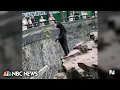 Download Lagu Sun bear in China zoo sparks online debate