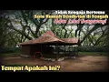 Download Lagu Inilah Alasan Mengapa Banyuwangi Terkenal Mistis, Mengunjungi Hutan De Djawatan Wisata yg indah