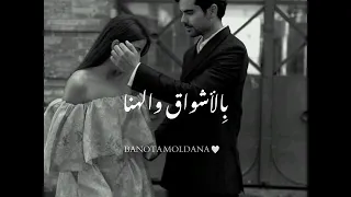 غيرني بثواني إحساسي اللي جاني  اليسا ملكة الاحساس  حالات واتس اب       دندنها