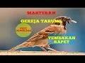 Download Lagu 🔴MASTERAN GEREJA TARUNG JEDA 1 MENIT