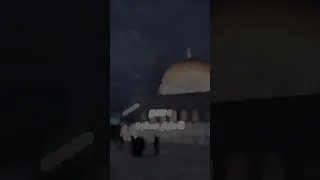 اهدا مهو كل شي باين في المحنه دندنها