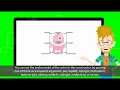 2 How to Draw Alien Chapter 4 1 Drawing Object in Pygame Zero
