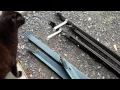Recycled Steel from two old bed frames