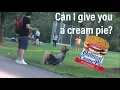 Asking people if I CAN give them a CREAM PIE PRANK