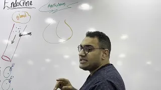 Endocrine Crash Course 1 القصر العيني 