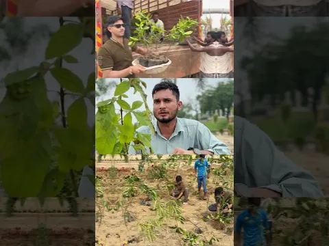 🚨 1 SUBSCRIBE  = 1 TREE 🌳❤️ Help Us Plant 10 LAKH Trees #kind2earth #plantation #trees #shorts