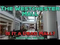 The Westchester A Dying Luxury Mall Swarming with Security White Plains New York
