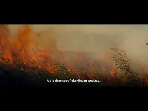 A TOMATO TRAGEDY (Nederlandse Filmacademie, Lichting 2023)