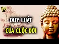 Download Lagu Mỗi giai đoạn cuộc sống đều có ý nghĩa và thay đổi liên tục theo thời gian và sự kiện của cuộc đời.