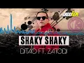 Download Lagu DJ Tao   Shaky Shaky ft Zato DJ Remix 2016