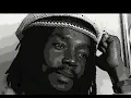 Peter Tosh - ( You Gotta Walk )   Don't Look Back