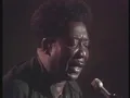 Muddy Waters - Honey Bee (Live)