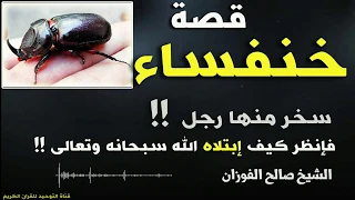 قصة الخنفساء سبحان الله استهزأ بها فابتلاه الله قصة يرويها الشيخ صالح الفوزان 