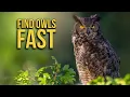 How to FIND and PHOTOGRAPH OWLS where you live - Wildlife photography