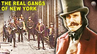the real five points the neighborhood that inspired gangs of new york