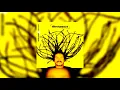Nengo Vieira - 10. Salvador (CD - Avivamente (2007))