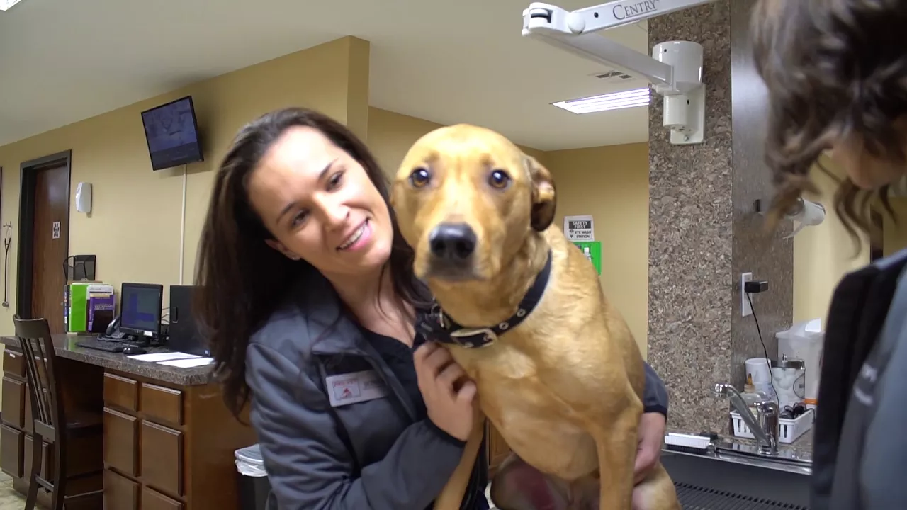 Gov. Hutchinson met by tough crowd at Siloam Springs community COVID conversation