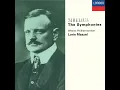Sibelius: Symphony No. 6 in D minor, Op. 104: 1. Allegro molto moderato