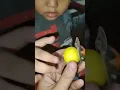 Download Lagu permen viral bebek rasa nya asam 😖🍋😂#shorts #tranding