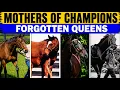 Top 21 Most Influential Broodmares in Horse Racing History
