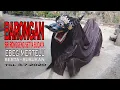 Download Lagu Barongan || Ebeg sri ronggeng setya budaya || Ebeg Mertelu - Berta  - Susukan