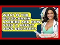 What Is The Blood-brain Barrier And How Does It Affect Drug Delivery? - Pharmaceutical Insights
