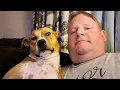 Download Lagu When Your Best Friend is the Silliest DOG 😂 Funny Dog and Human Videos