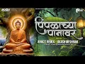 Download Lagu Pimpalachya Panavar - Anik3t Remix X Akash Meshram | बुद्ध पर्णिमा स्पशेल 2024 | #trendingsong